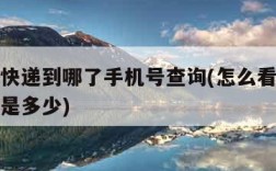 如何查快递到哪了手机号查询(怎么看快递手机号码是多少)