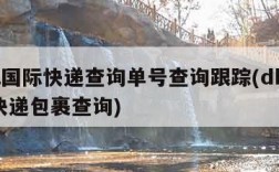 dhl国际快递查询单号查询跟踪(dhl国际快递包裹查询)
