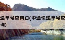 中通快递单号查询口(中通快递单号查询口运单号查询)