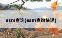 esm查询(esm查询快递)