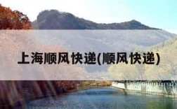 上海顺风快递(顺风快递)