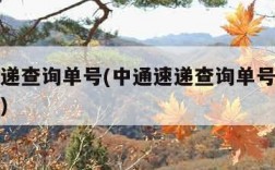 中通速递查询单号(中通速递查询单号查询追踪定位)