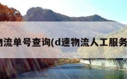 d速物流单号查询(d速物流人工服务电话)