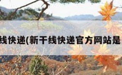 新干线快递(新干线快递官方网站是多少)