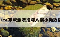 cces(穿成恶嫂拒嫁人摆小摊致富)