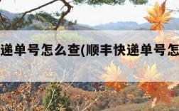 顺丰快递单号怎么查(顺丰快递单号怎么查物流)