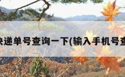 申通快递单号查询一下(输入手机号查订单)