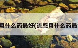 流感用什么药最好(流感用什么药最好呢)