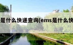 ems是什么快递查询(ems是什么快递名称)