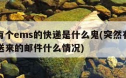 突然有个ems的快递是什么鬼(突然有邮政ems送来的邮件什么情况)