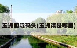 五洲国际码头(五洲港是哪里)