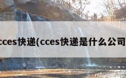 cces快递(cces快递是什么公司)