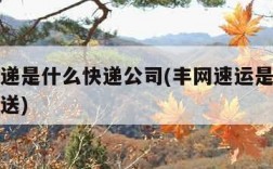 丰网快递是什么快递公司(丰网速运是什么快递员派送)