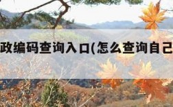 家庭邮政编码查询入口(怎么查询自己家的邮编)