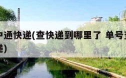 查询中通快递(查快递到哪里了 单号查询中通快递)