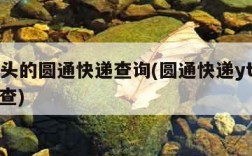 yt开头的圆通快递查询(圆通快递yt开头怎么查)