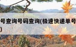 快递单号查询号码查询(极速快递单号查询号码查询)