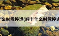顺丰什么时候停运(顺丰什么时候停运过年)
