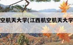 江西航空航天大学(江西航空航天大学科技学院)