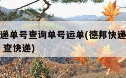 德邦快递单号查询单号运单(德邦快递单号查询快速 查快递)