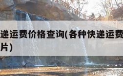 各种快递运费价格查询(各种快递运费价格查询表图片)