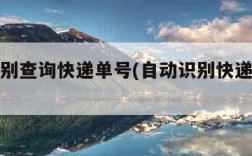 自动识别查询快递单号(自动识别快递公司单号)