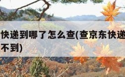 查京东快递到哪了怎么查(查京东快递到哪了怎么查不到)