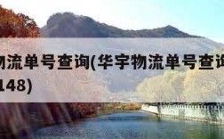华宇物流单号查询(华宇物流单号查询信息j0905148)