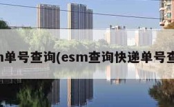 esm单号查询(esm查询快递单号查询)