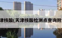 天津核酸(天津核酸检测点查询附近)