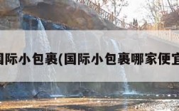 国际小包裹(国际小包裹哪家便宜)