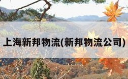 上海新邦物流(新邦物流公司)