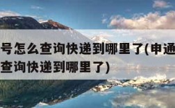没有单号怎么查询快递到哪里了(申通没有单号怎么查询快递到哪里了)