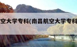 南昌航空大学专科(南昌航空大学专科招生简章)