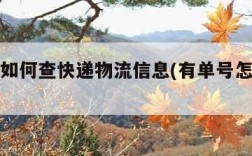 有单号如何查快递物流信息(有单号怎么查快递啊)