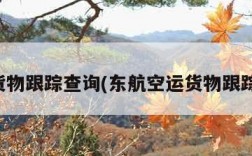 空运货物跟踪查询(东航空运货物跟踪查询)