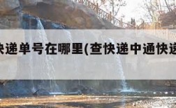 中通快递单号在哪里(查快递中通快递 单号)
