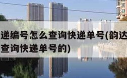 韵达快递编号怎么查询快递单号(韵达快递编号怎么查询快递单号的)