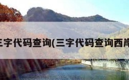 三字代码查询(三字代码查询西岸)
