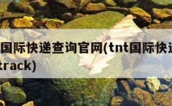 tnt国际快递查询官网(tnt国际快递查询 track)