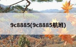 9c8885(9c8885航班)