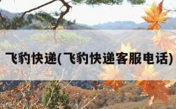 飞豹快递(飞豹快递客服电话)
