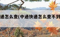 中通快递怎么查(中通快递怎么查不到物流信息)