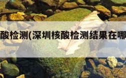 深圳核酸检测(深圳核酸检测结果在哪里查询)