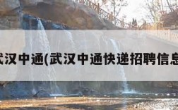 武汉中通(武汉中通快递招聘信息)