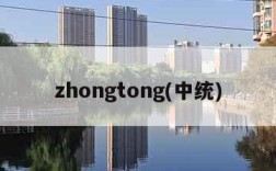 zhongtong(中统)