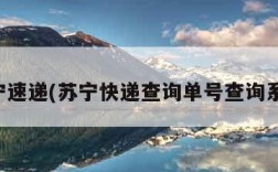 苏宁速递(苏宁快递查询单号查询系统)