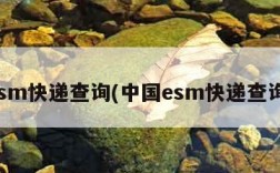 esm快递查询(中国esm快递查询)