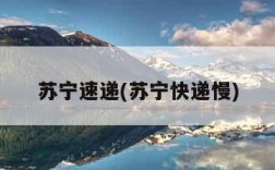 苏宁速递(苏宁快递慢)