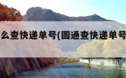 圆通怎么查快递单号(圆通查快递单号查询入口)